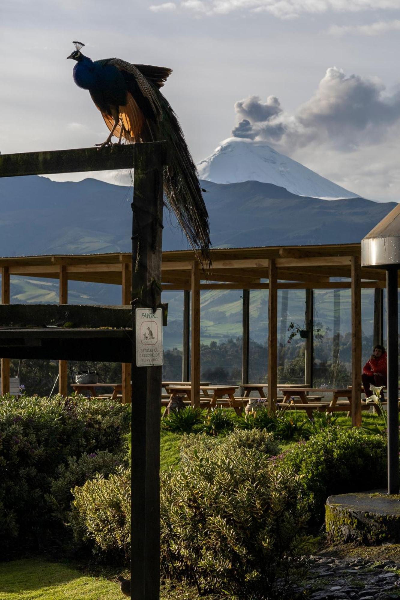 Villa Hacienda El Rejo Machachi Esterno foto